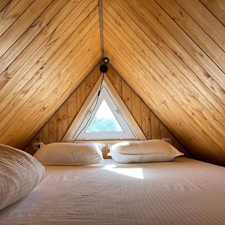 Bereke Kolsay Resort Saty Экстерьер фото